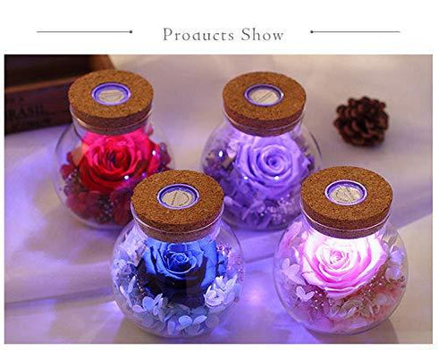 Real Rose in Glass